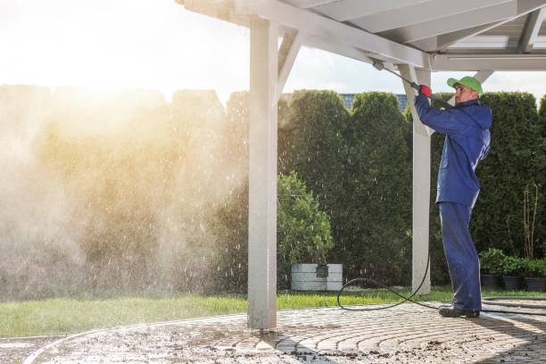 Best Soft Washing  in Pomona, KS